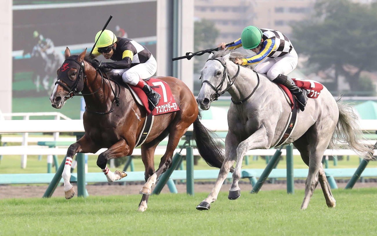 アスクビクターモア（左）との競り合いを制しセントライト記念に勝利したガイアフォース（撮影・丹羽敏通）