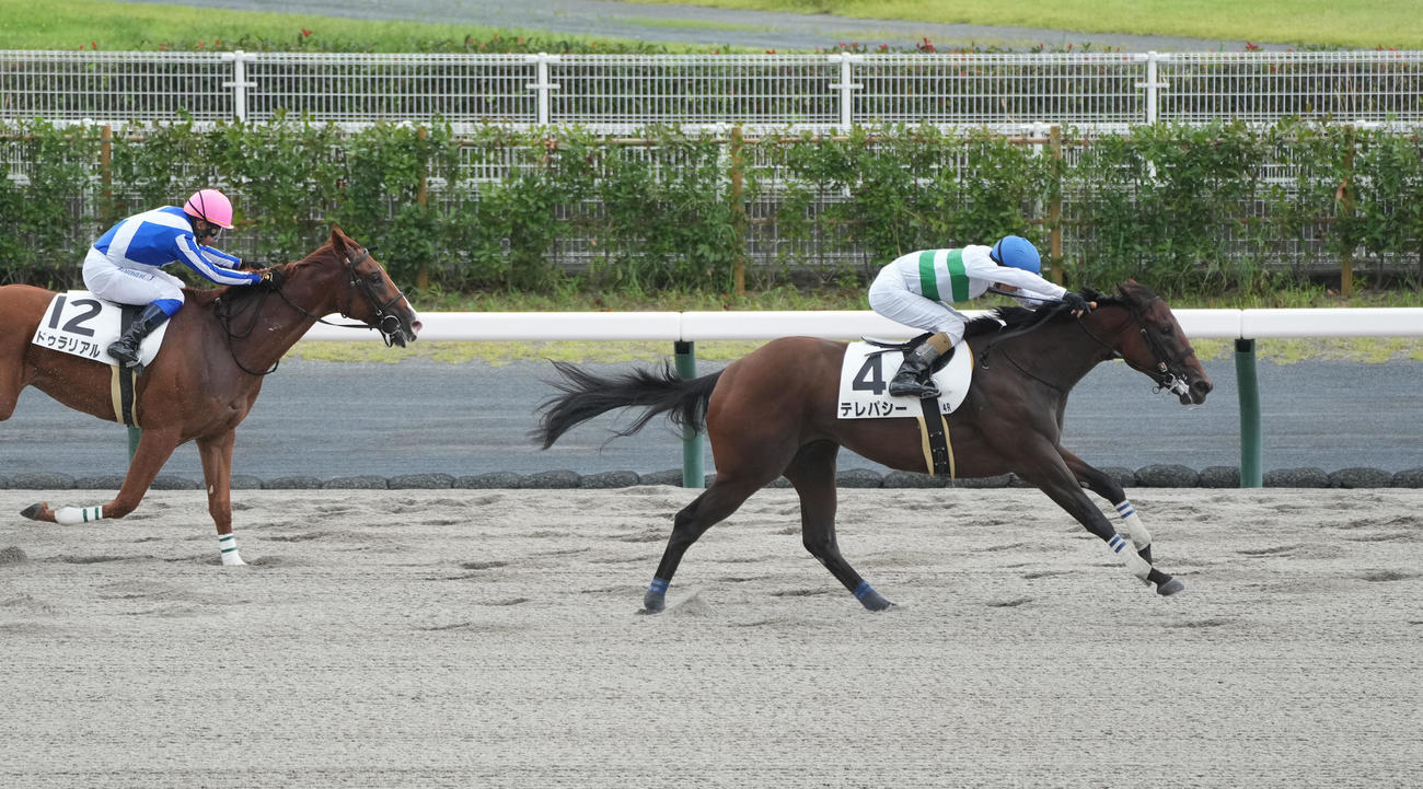 直線で抜け出しデビュー戦を制したテレパシー（撮影・森本幸一）