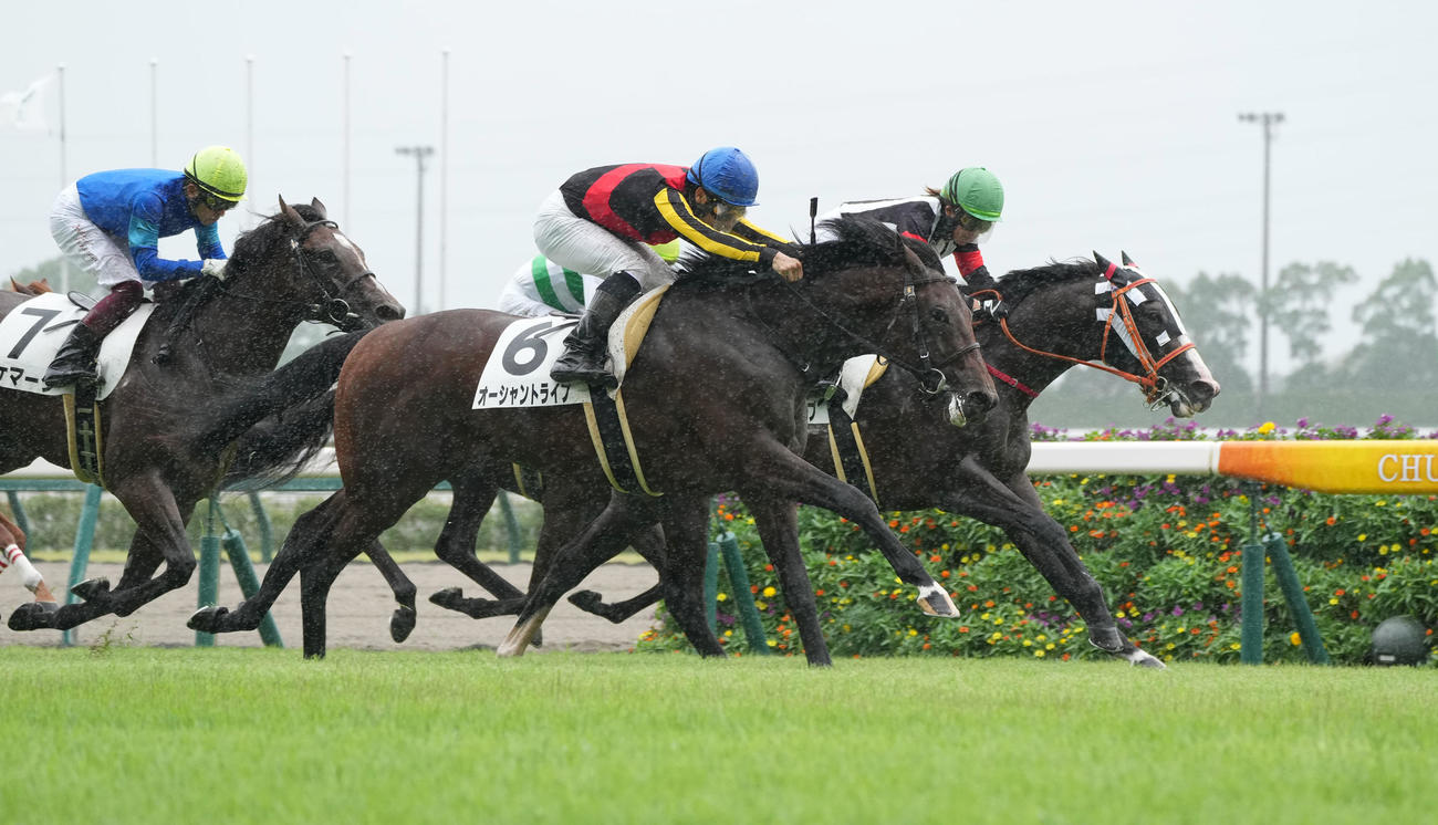外から伸びたオーシャントライブ（中央）がデビュー戦を制した（撮影・森本幸一）
