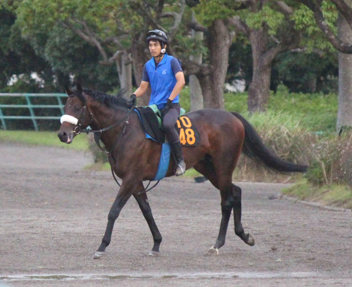 火曜朝、馬場に向かうパラレルヴィジョン（撮影・木南友輔）