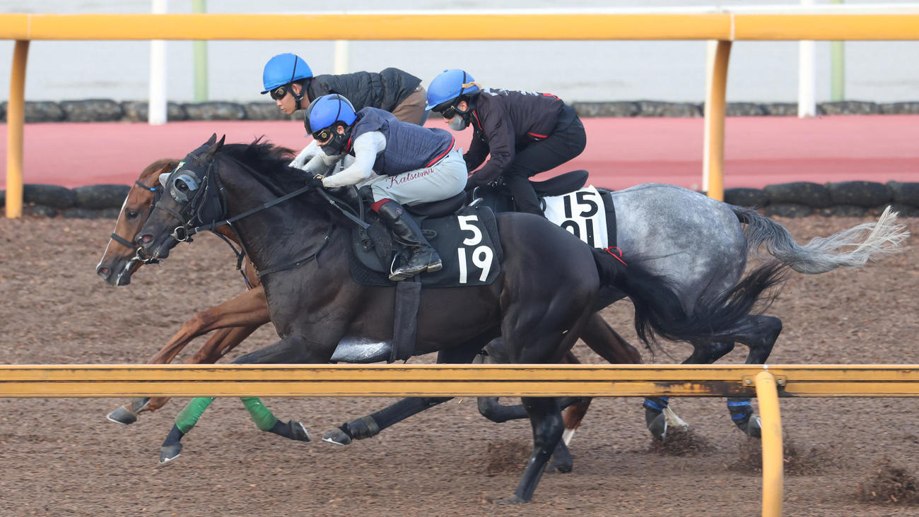 3頭併せで追い切るジャスティンパレス（手前）（22年9月14日撮影）