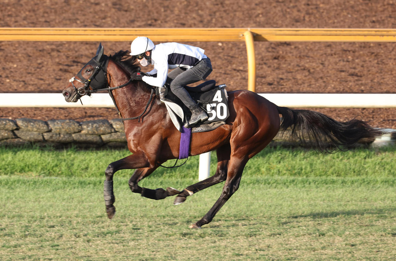 浜中騎手を背に芝コースで追い切るサトノヘリオス