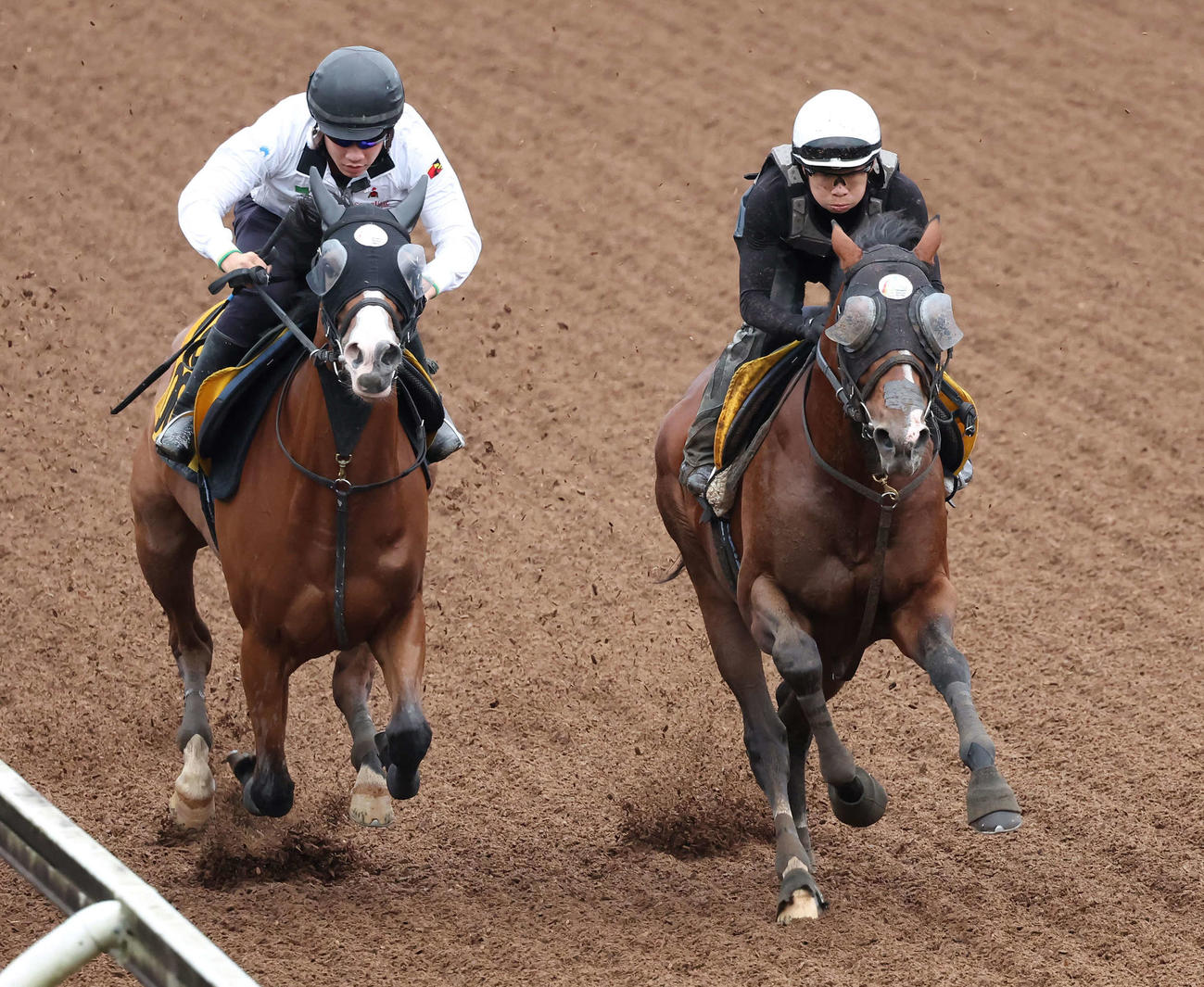 ロバートソンキー（右）は伊藤騎手を背に美浦坂路で追い切られた（撮影・丹羽敏通）