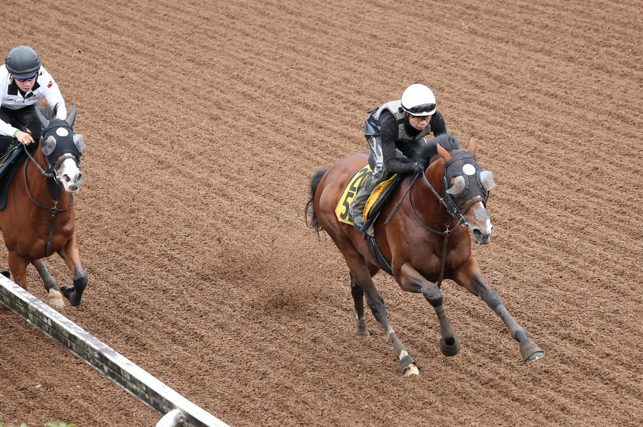 ロバートソンキー（右）は伊藤騎手を背に美浦坂路で加速して僚馬を置き去りにした（撮影・丹羽敏通）