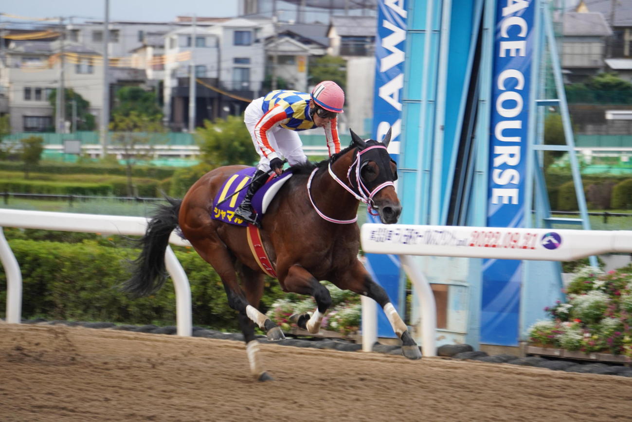 テレ玉杯オーバルスプリントを制したシャマル
