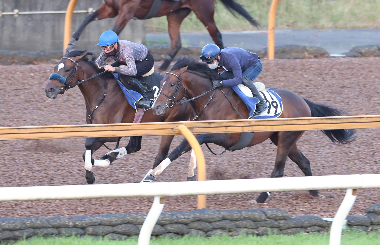 復帰の岩田望騎手を背に併せ馬で追い切るアスクワイルドモア（左）