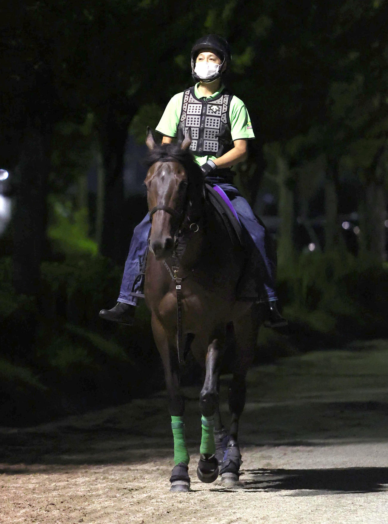 厩舎周りで運動するデアリングタクト（撮影・白石智彦）