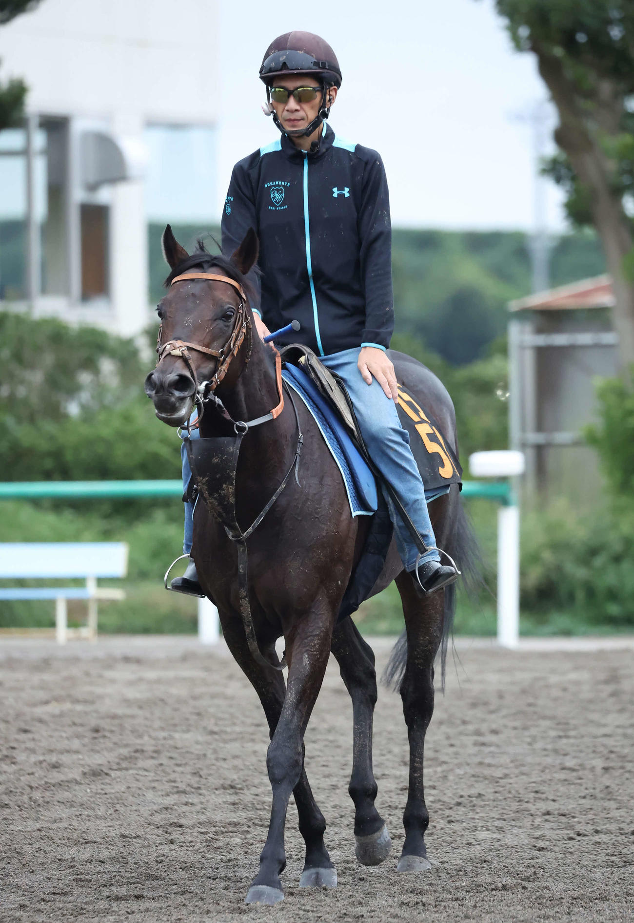 調教を終えて馬場を出るレヴァンジル（撮影・丹羽敏通）