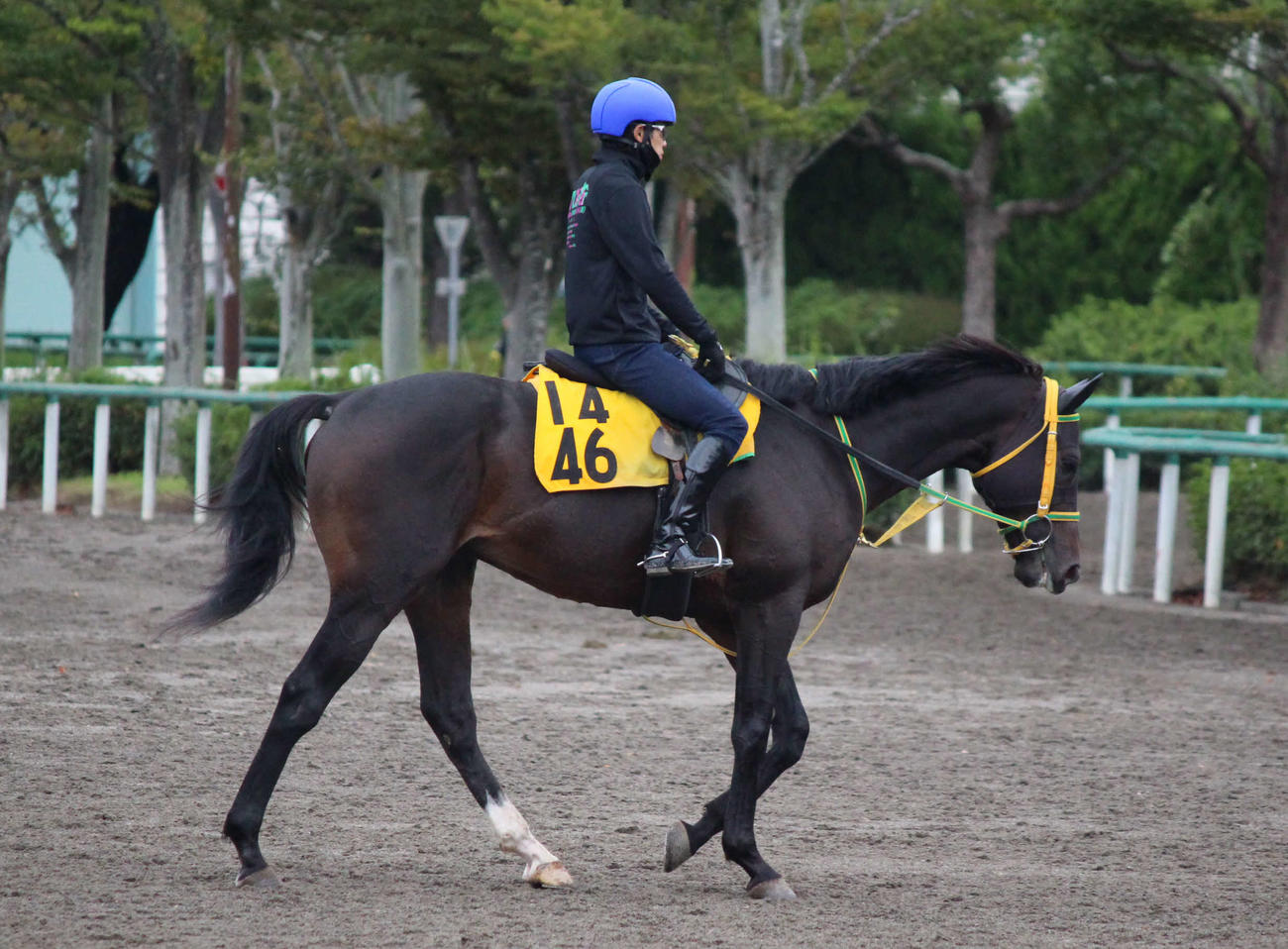 ビレッジイーグルと大江原騎手（撮影・木南友輔）