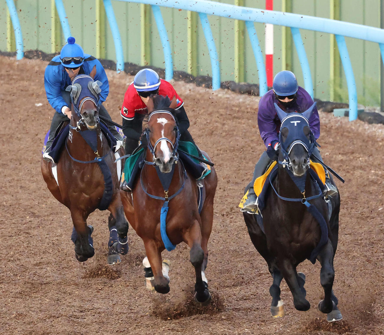 シュネルマイスター（左）は横山武騎手を背に美浦ウッドで追い切られた（撮影・丹羽敏通）