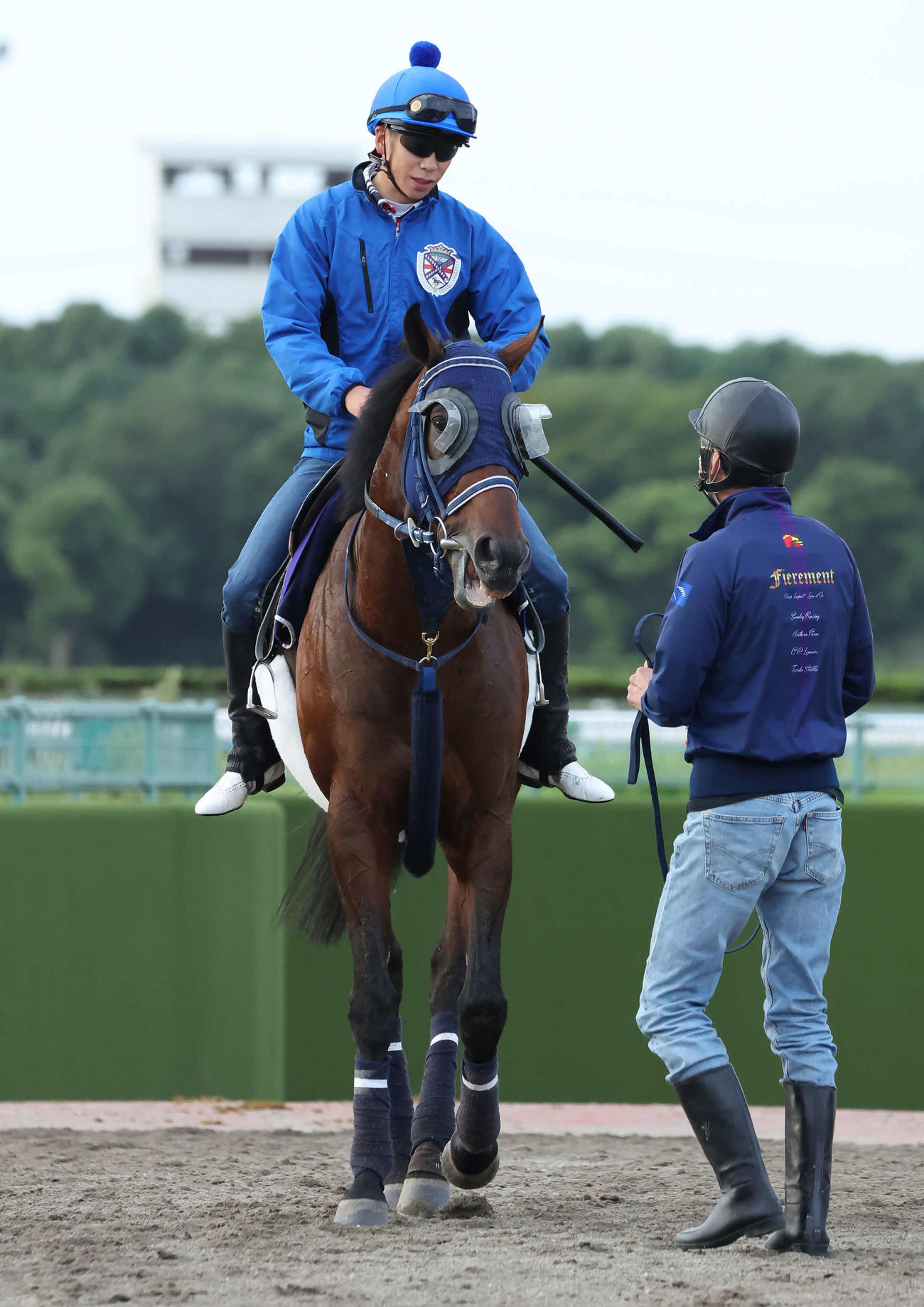 調教を終えて馬場を出るシュネルマイスターと横山武騎手（撮影・丹羽敏通）