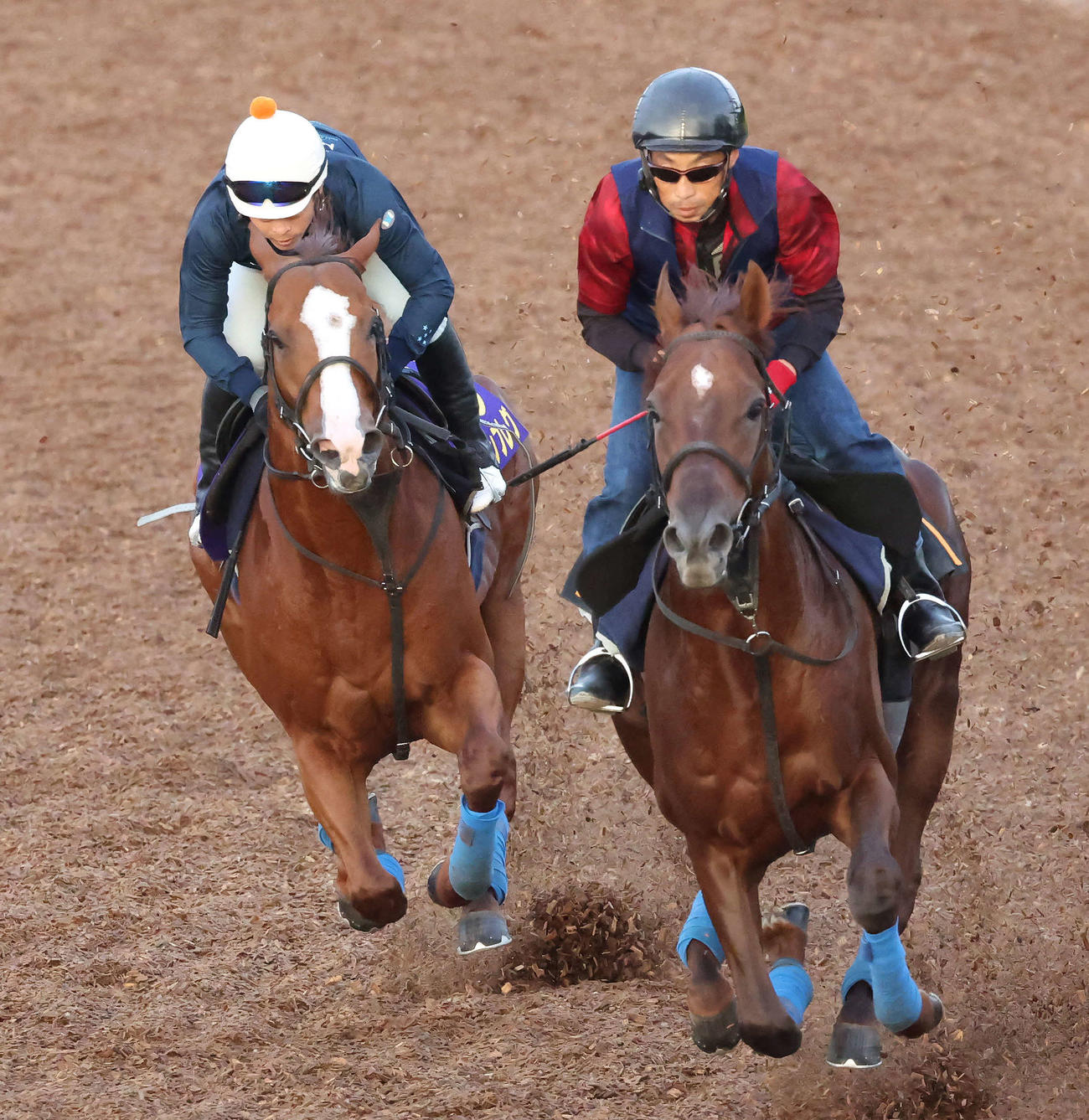 ナランフレグ（左）は丸田騎手を背に美浦ウッドで追い切られた（撮影・丹羽敏通）