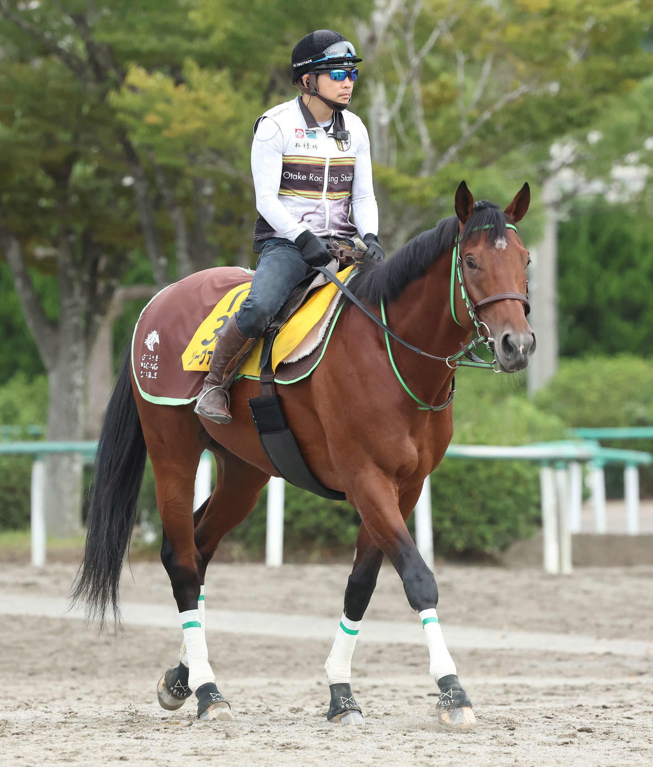 馬場へ向かうソーヴァリアント（撮影・丹羽敏通）