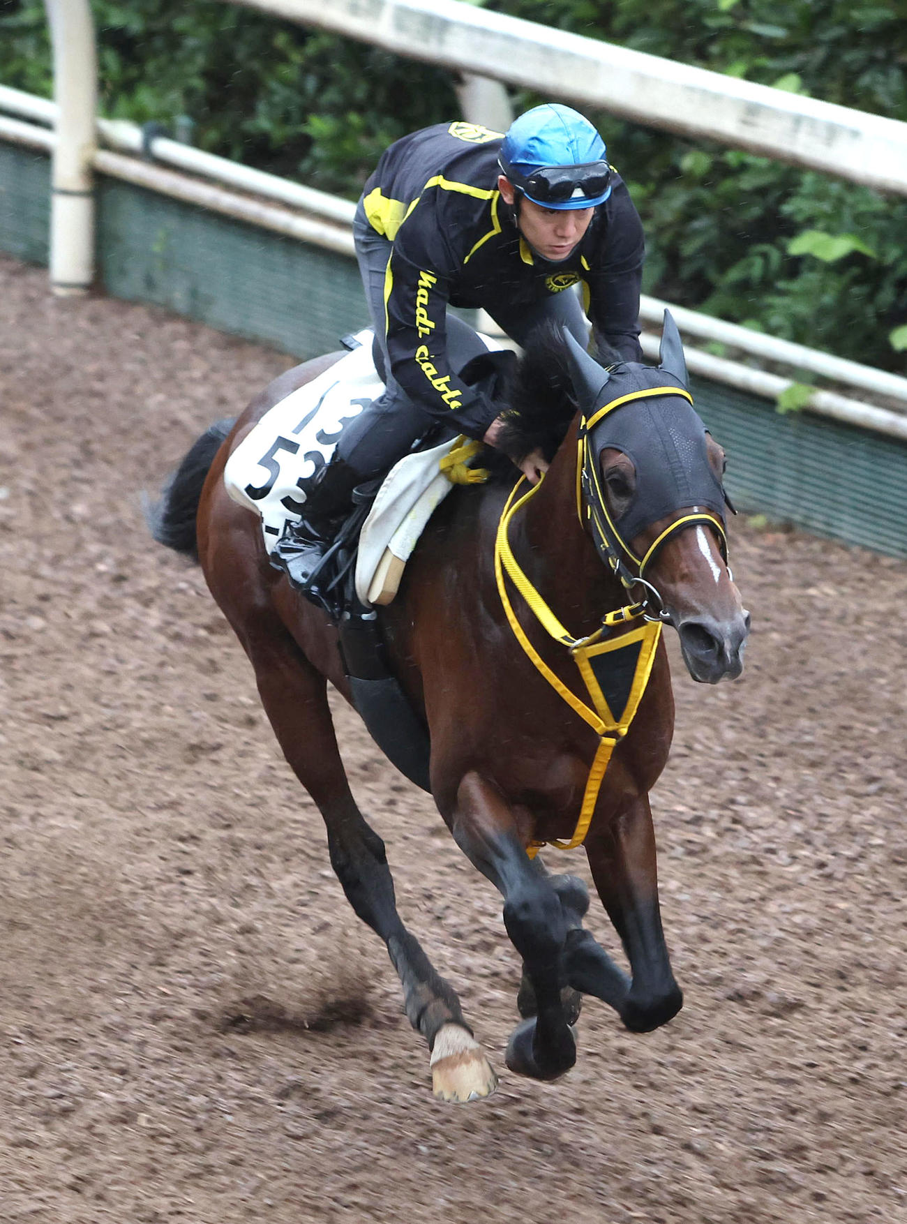 菱田騎手を背に坂路を単走で追い切るテーオーロイヤル（撮影・白石智彦）