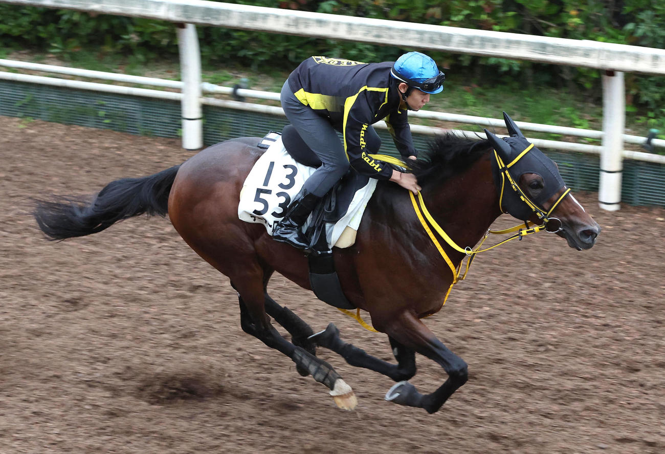 菱田騎手を背に坂路を単走で追い切るテーオーロイヤル（撮影・白石智彦）