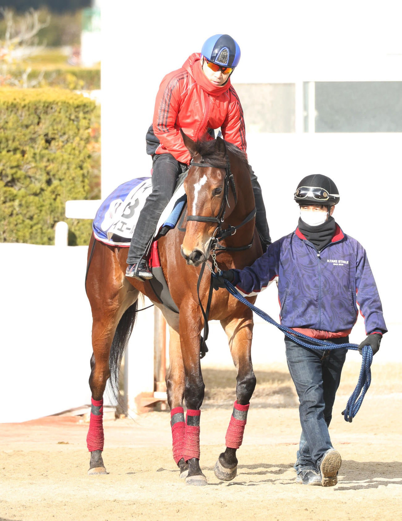 メイケイエール　（22年1月19日撮影）