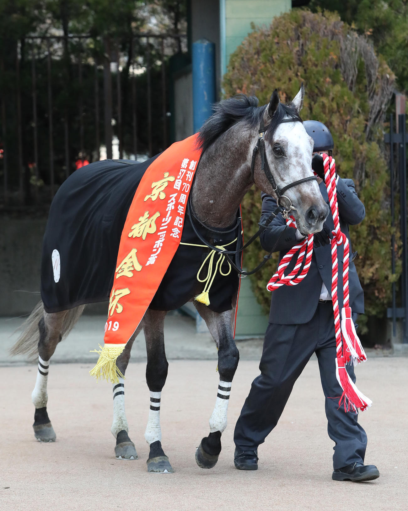 19年1月、京都金杯で重賞初制覇を飾ったパクスアメリカーナ
