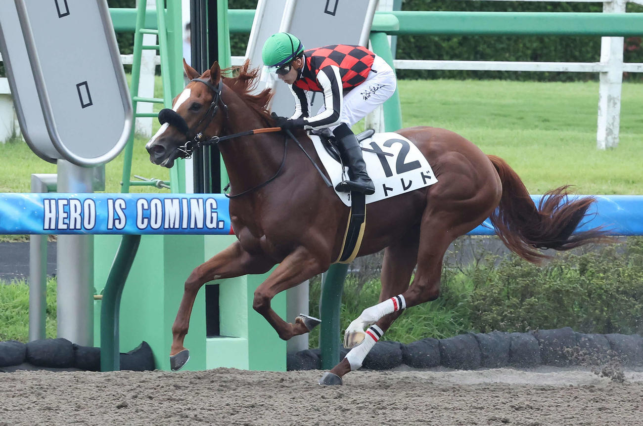 中山3R、新馬戦を快勝したトレドと石川騎手（撮影・丹羽敏通）