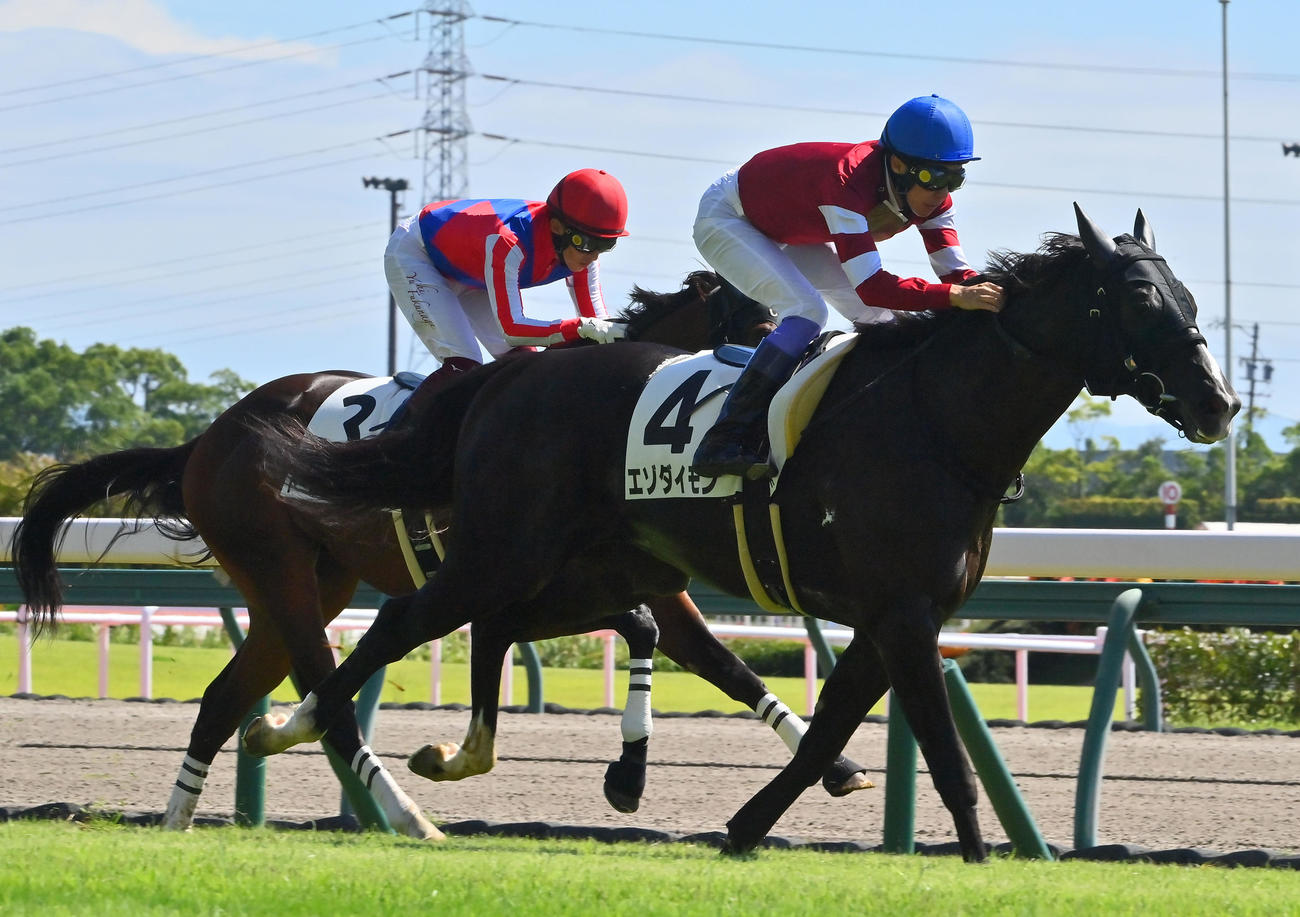 中京3R 2歳未勝利を制したエゾダイモン（右）（撮影・和賀正仁）