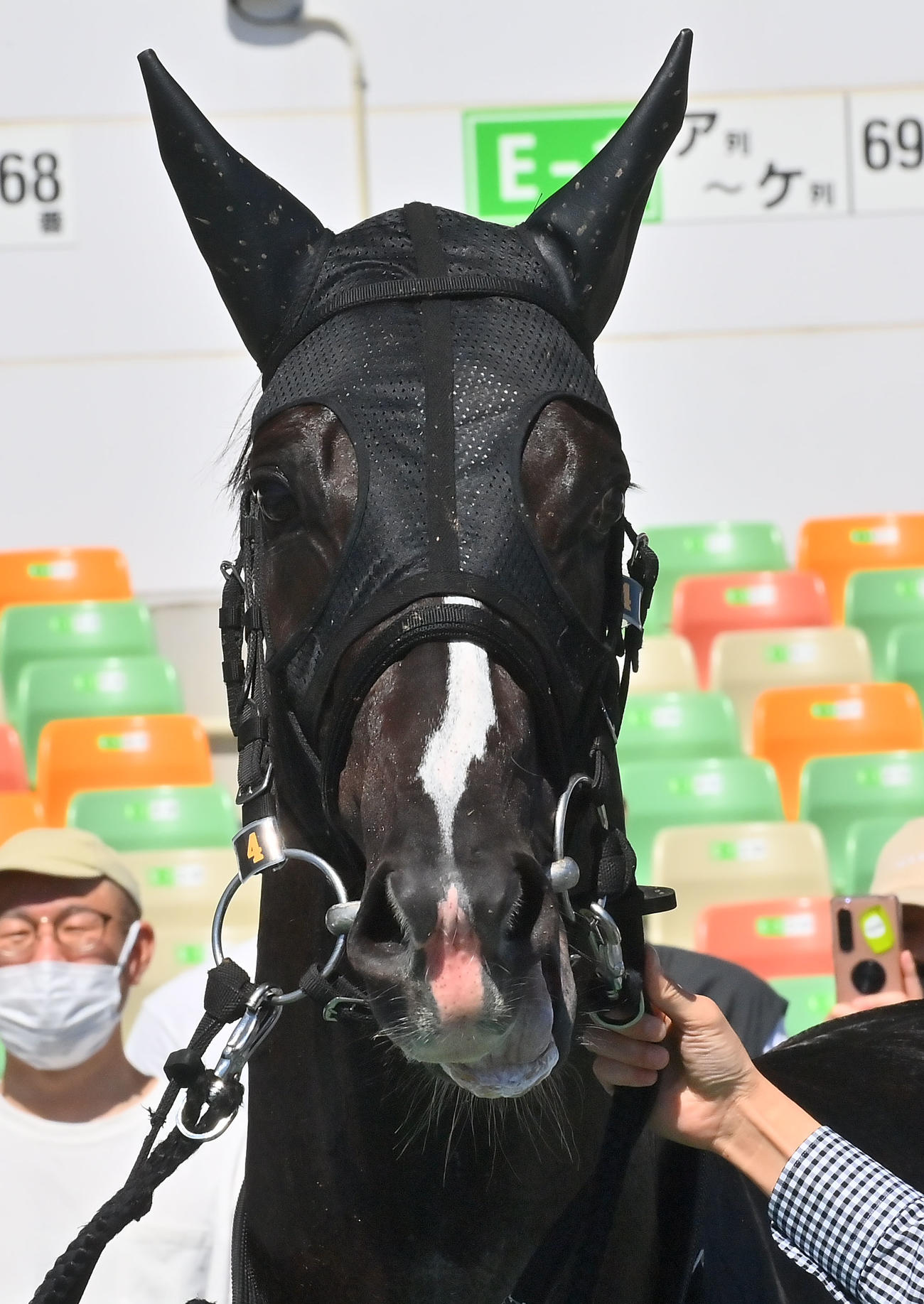 中京3R 2歳未勝利を制したエゾダイモン（右）（撮影・和賀正仁）