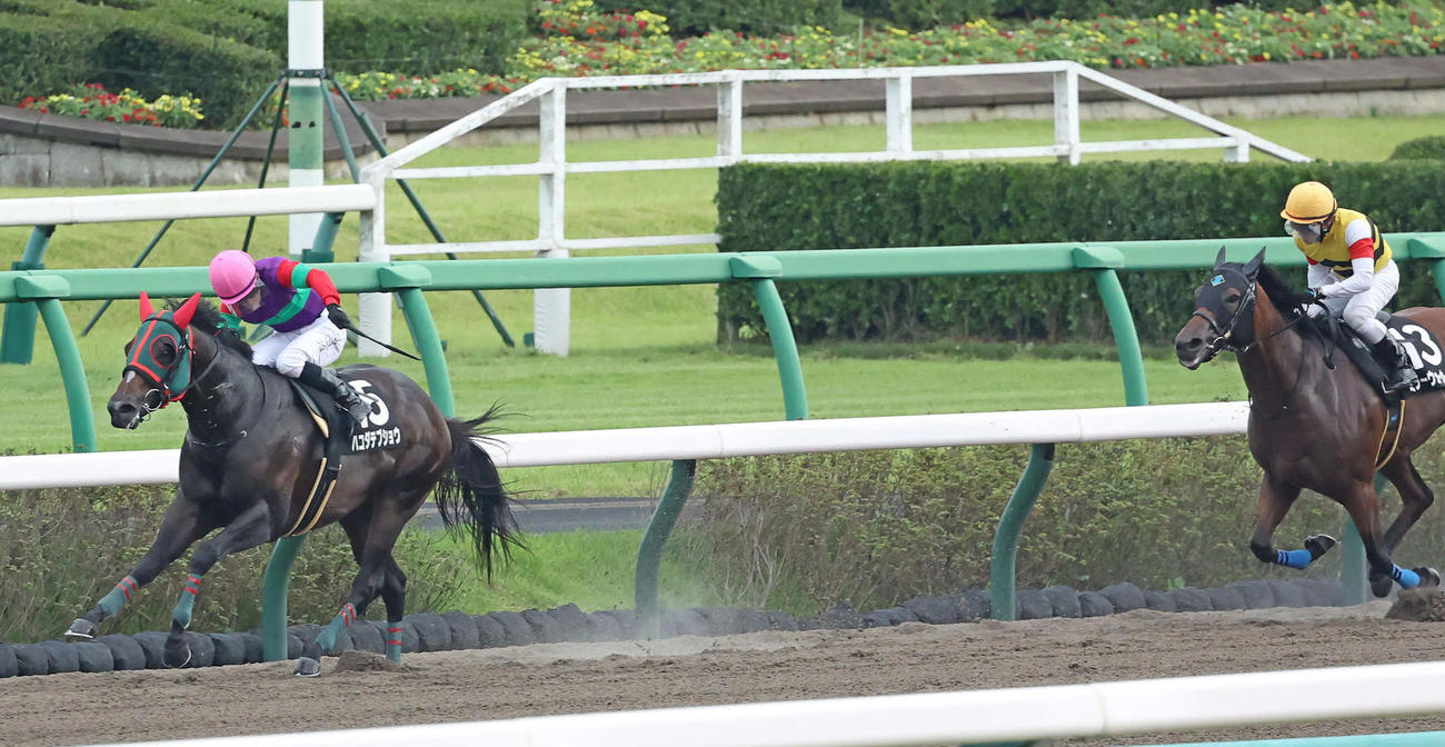 ながつきSを制したハコダテブショウと石川騎手（左）（撮影・丹羽敏通）
