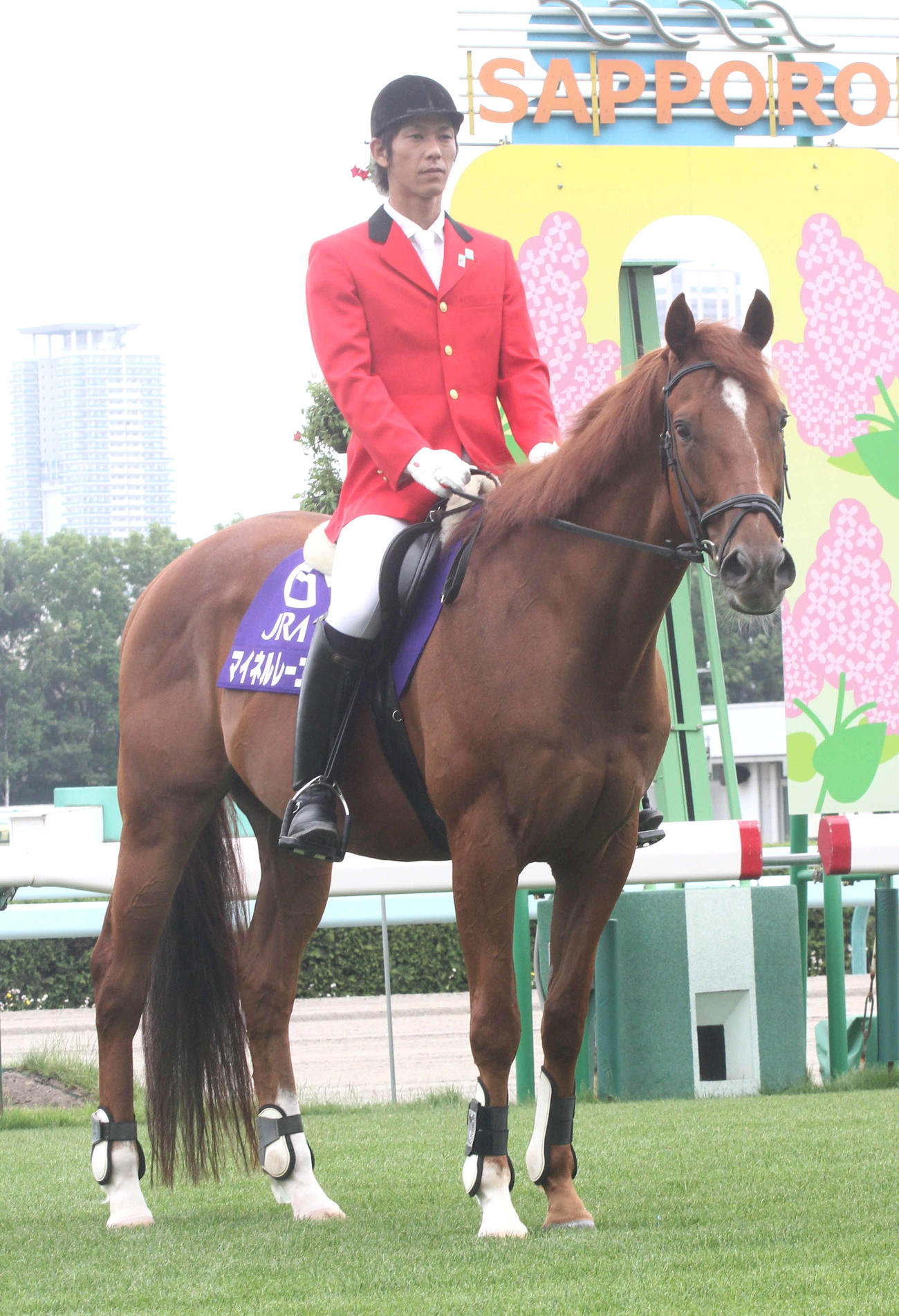 札幌競馬場で誘導馬として活躍するマイネルレーニア