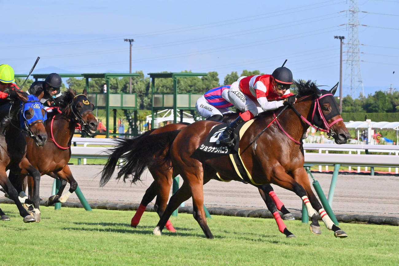 直線抜け出し豊明Sを制したショウナンバニラと池添謙一騎手（撮影・和賀正仁）