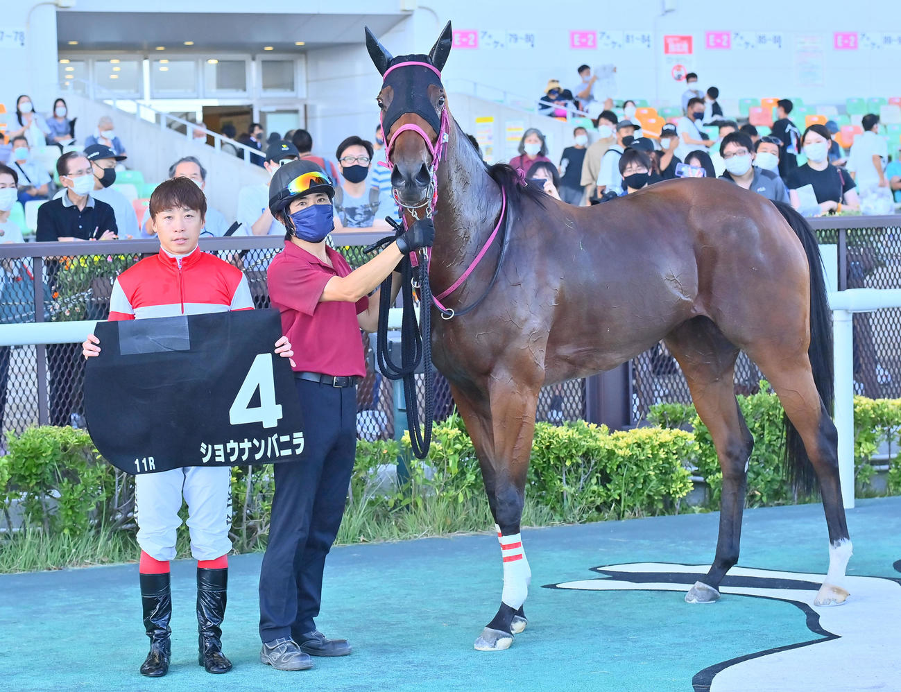 豊明Sを制したショウナンバニラと池添謙一騎手（撮影・和賀正仁）