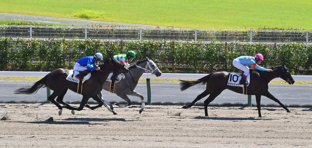 中京4R　新馬戦を制するルメール騎乗のセラドナイト（右）（撮影・和賀正仁）