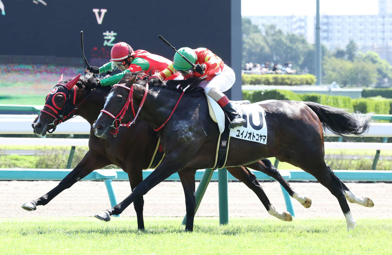中山3R、ユイノオトコヤマ（手前）との競り合いを制して2歳未勝利戦に勝利したマイネルカンパーナと丹内騎手（撮影・丹羽敏通）