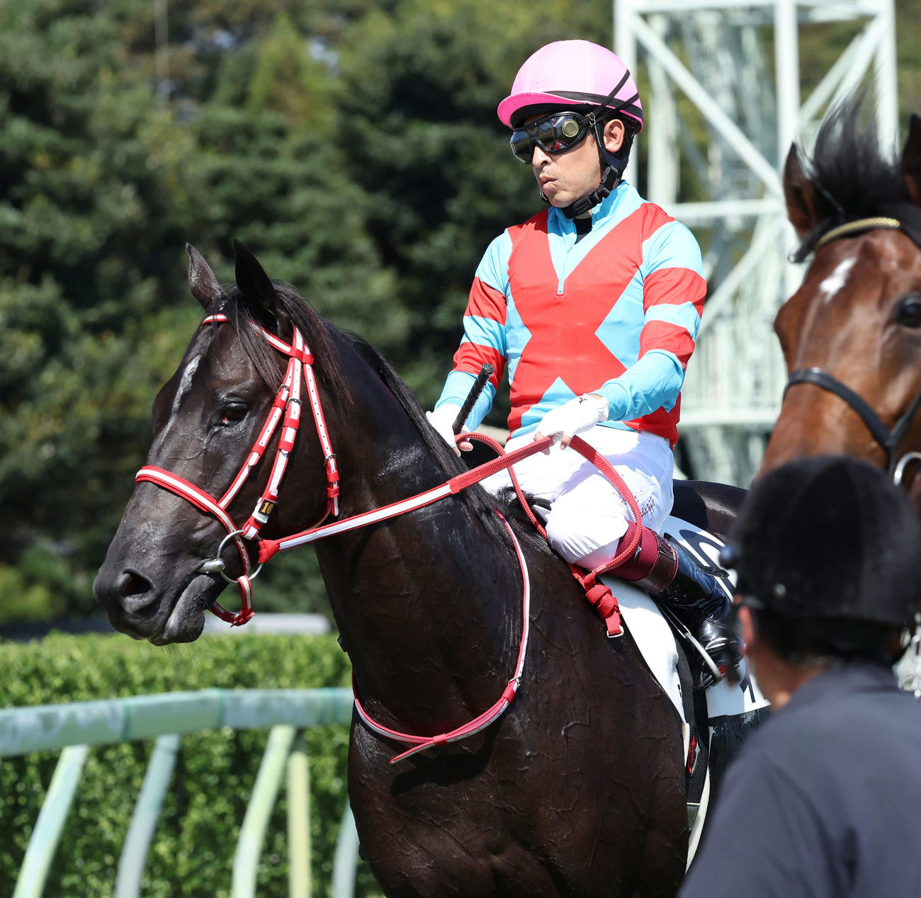 中山5R、2歳新馬戦で3番人気に応えられず10着に敗れたインタクトと福永騎手（撮影・丹羽敏通）