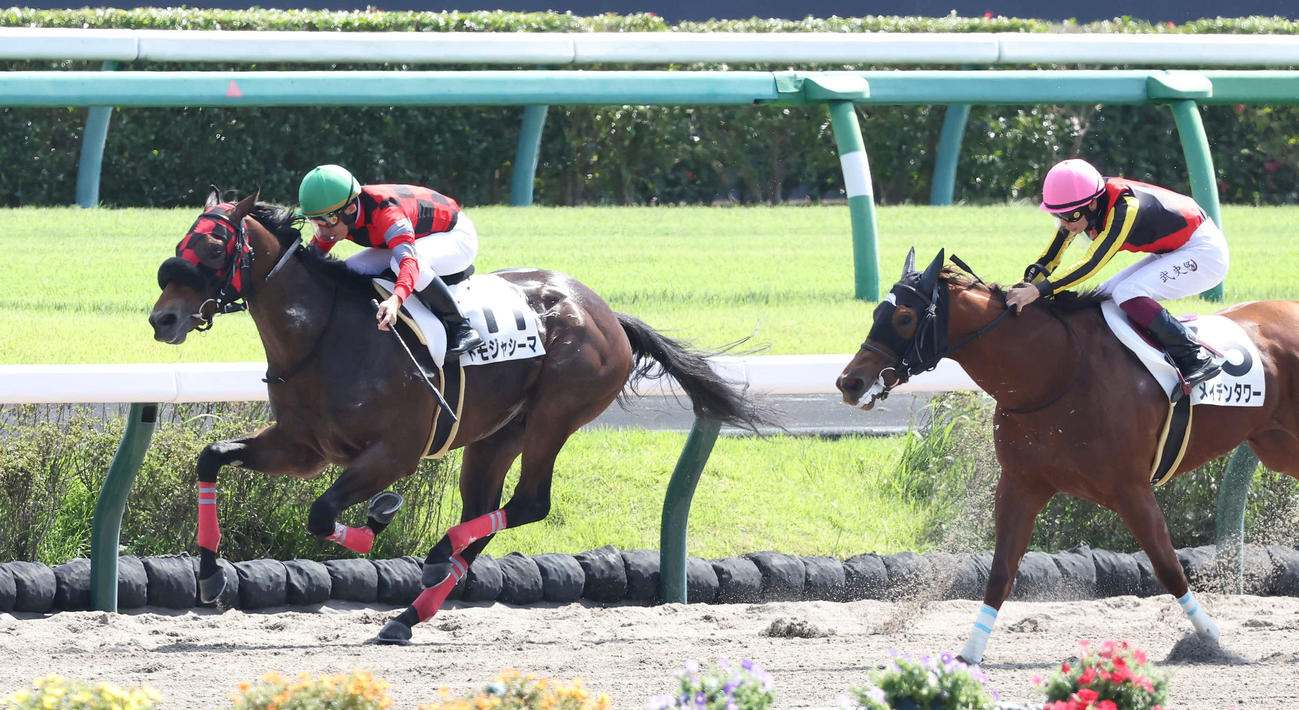 中山4R、2歳新馬戦に勝利したトモジャシーマと横山典騎手（左）（撮影・丹羽敏通）