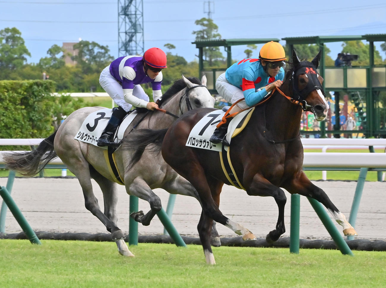 ゴール前で抜け出し新馬戦を制したバロッサヴァレー（右）（撮影・和賀正仁）