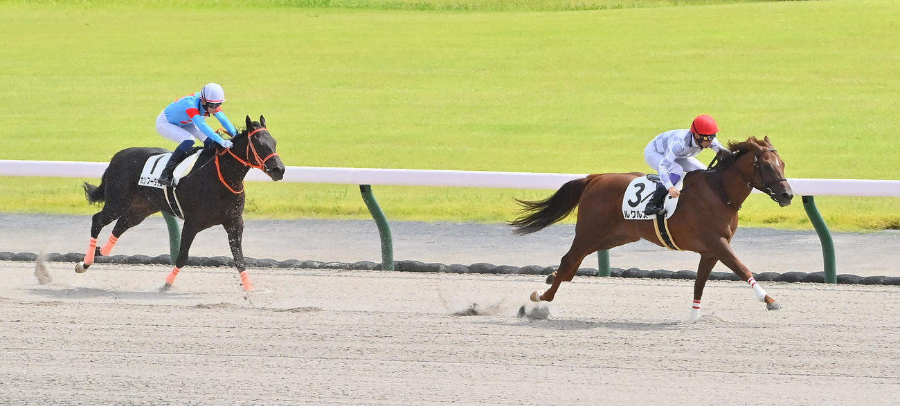 中京4R新馬戦を制したルクルス（撮影・和賀正仁）