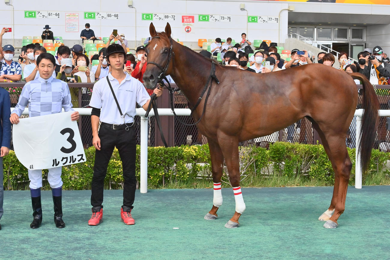 中京4R新馬戦を制したルクルスと武豊騎手（撮影・和賀正仁）