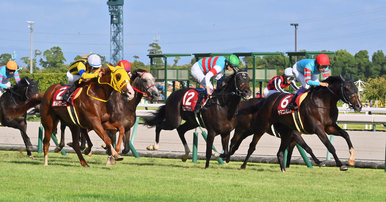 神戸新聞杯で2着に入るヤマニンゼスト（右）（撮影・和賀正仁）