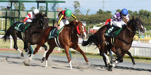 後続を振り切りシリウスSを制したサンライズホープ。=2021年、中京競馬場