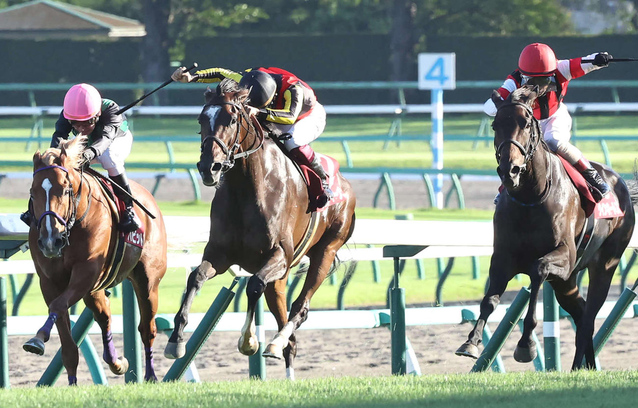 オールカマーを制したジェラルディーナと横山武騎手（中央）（撮影・丹羽敏通）