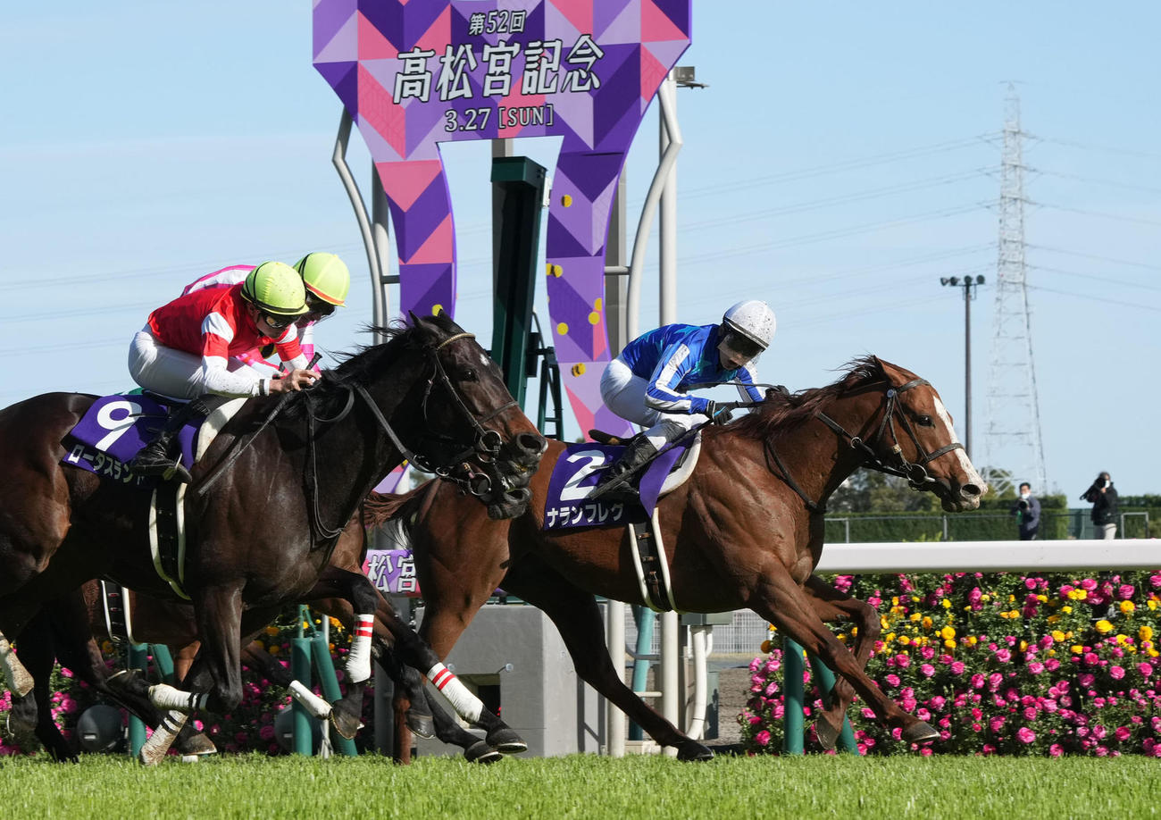 高松宮記念を制したナランフレグ（2022年3月27日撮影）