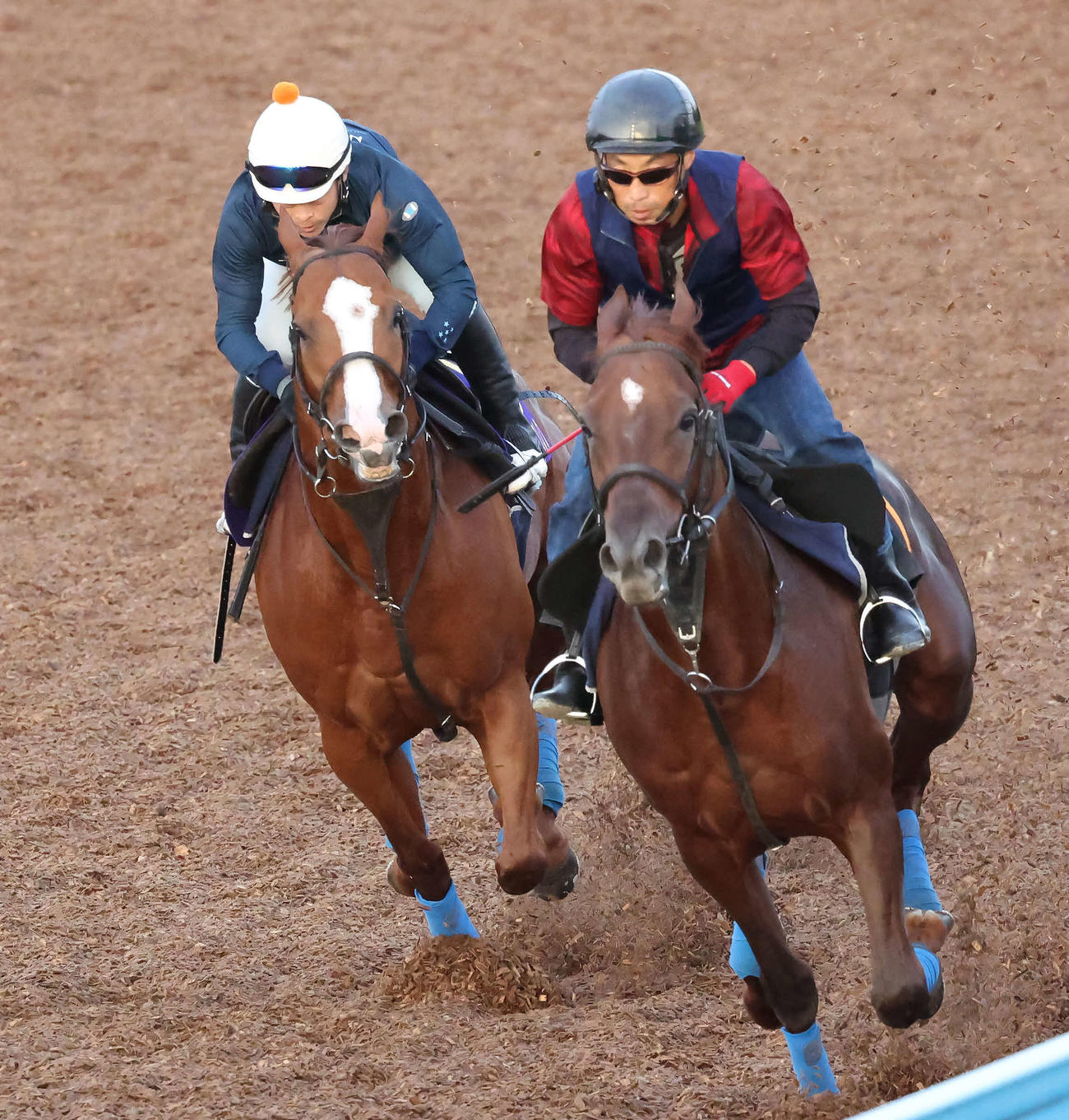 22日、丸田騎手を背に美浦ウッドで追い切られたナランフレグ（左）