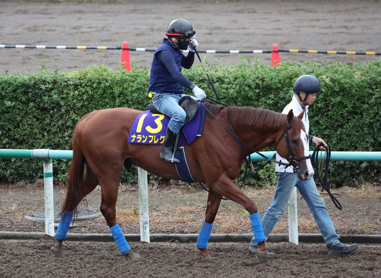 馬場へ向かうナランフレグ（2022年9月21日撮影）