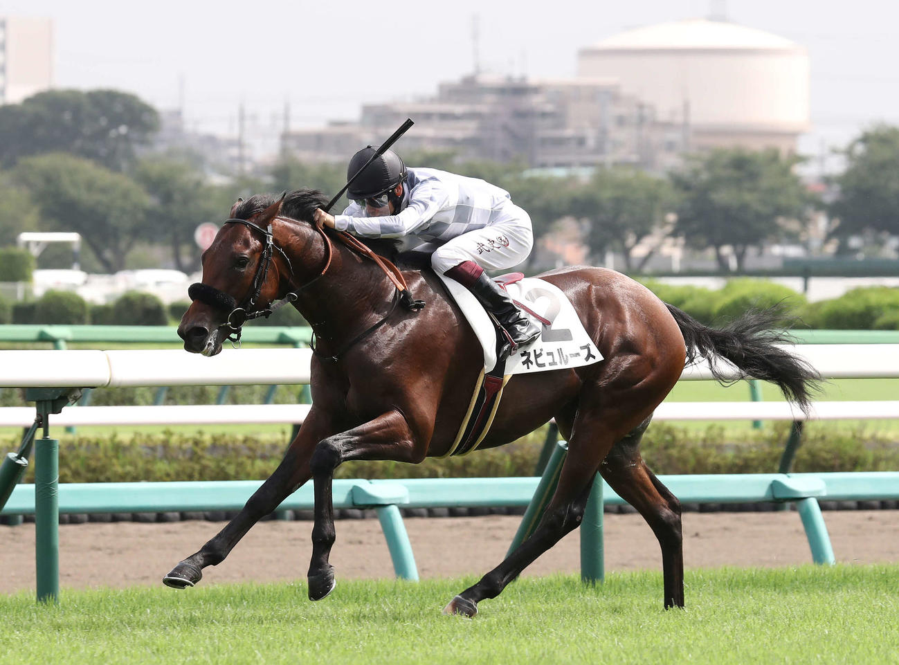 新馬戦を制したネビュルーズと横山武騎手（2022年9月19日撮影）
