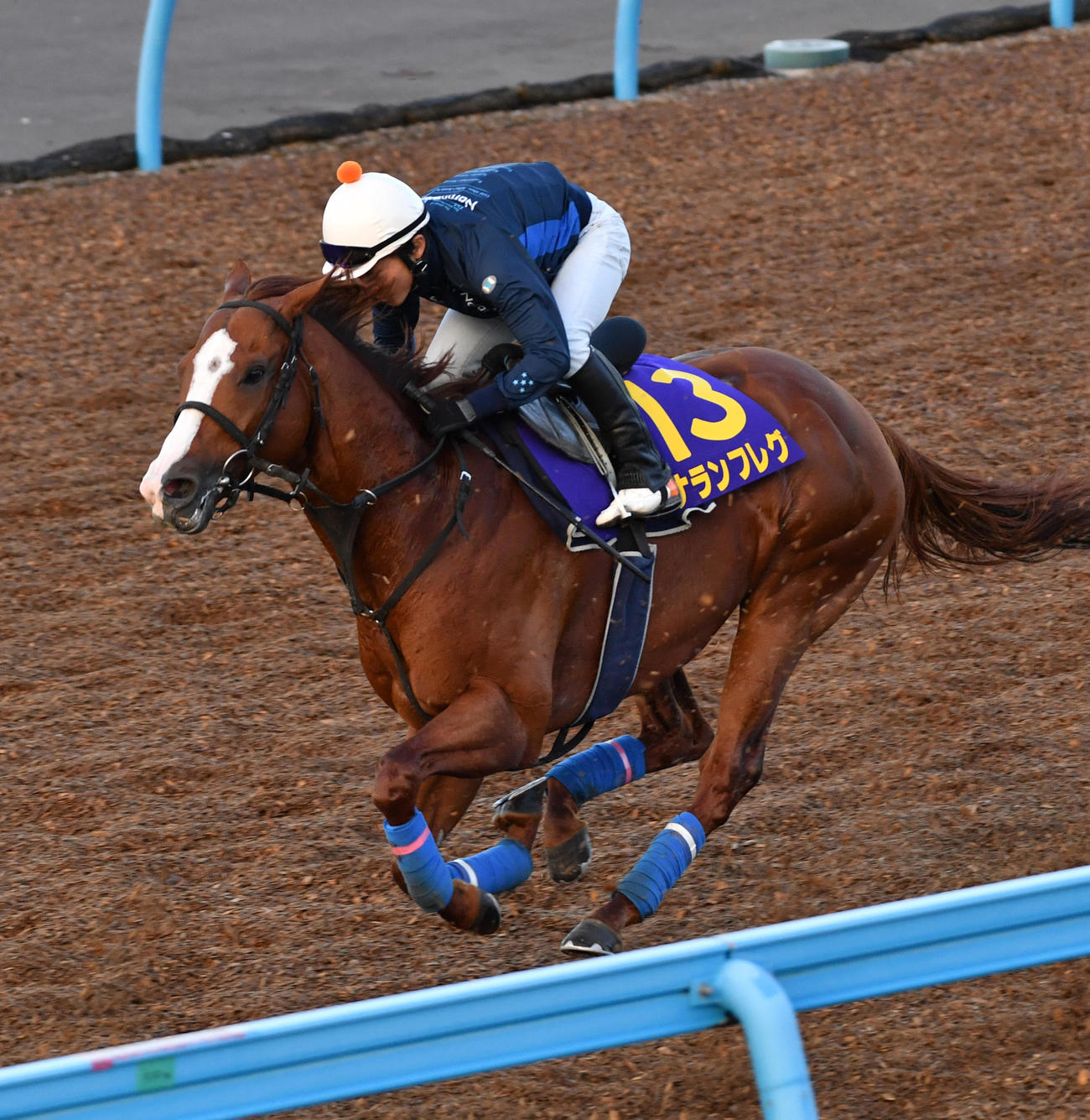3頭併せで追い切るナランフレグ（撮影・柴田隆二）