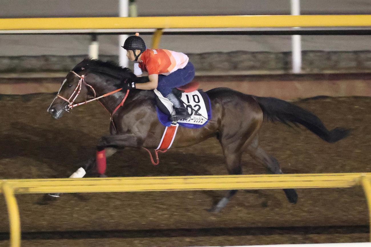 8月に日本国内最終追い切りを行ったステイフーリッシュ
