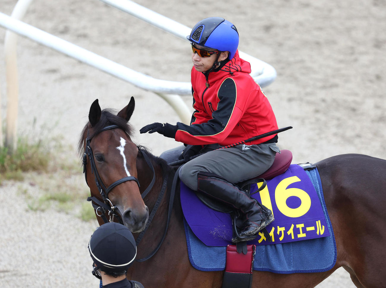 池添騎手を背にスタンド前で運動するメイケイエール（撮影・白石智彦）