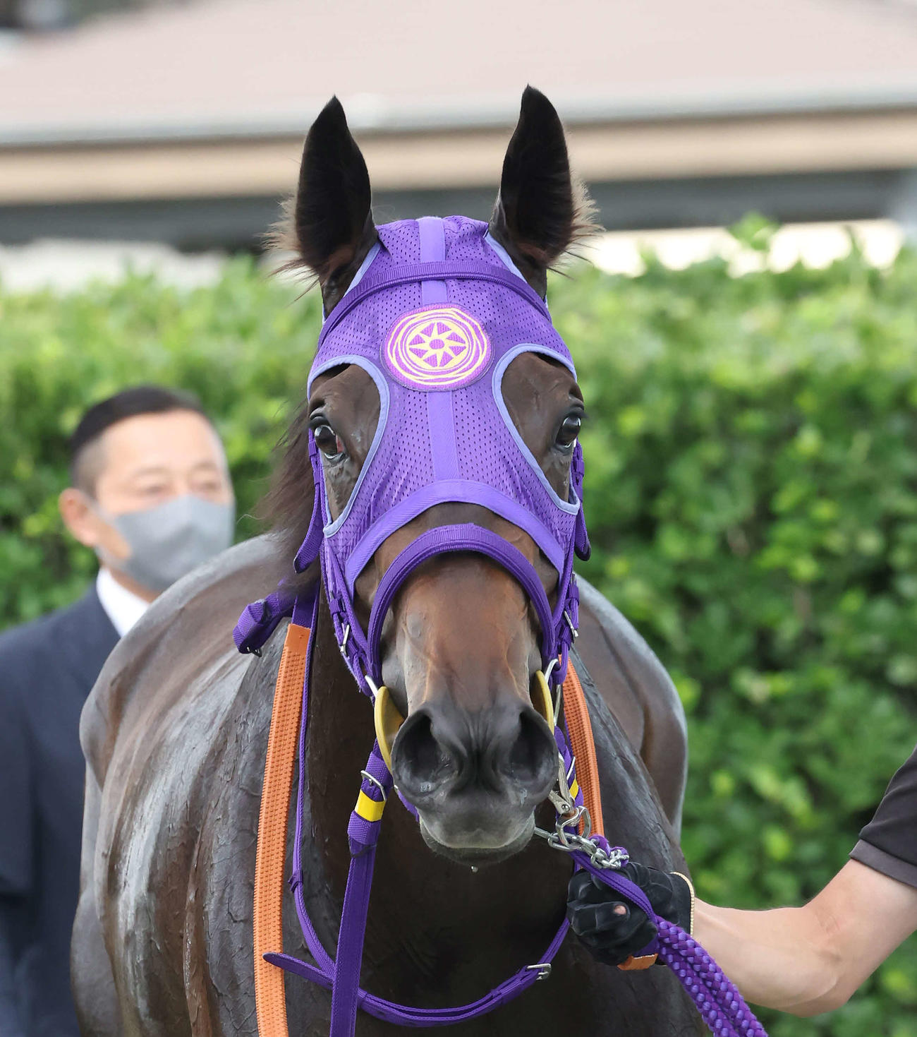 御宿特別を制したモチベーション（2022年9月17日撮影）