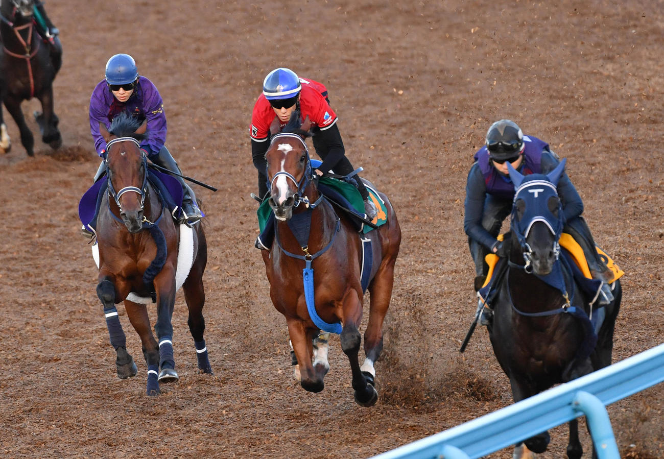 シュネルマイスター（左）はナロムナウオン（中央）、マイネルファンロンと併せ追い切る（撮影・柴田隆二）