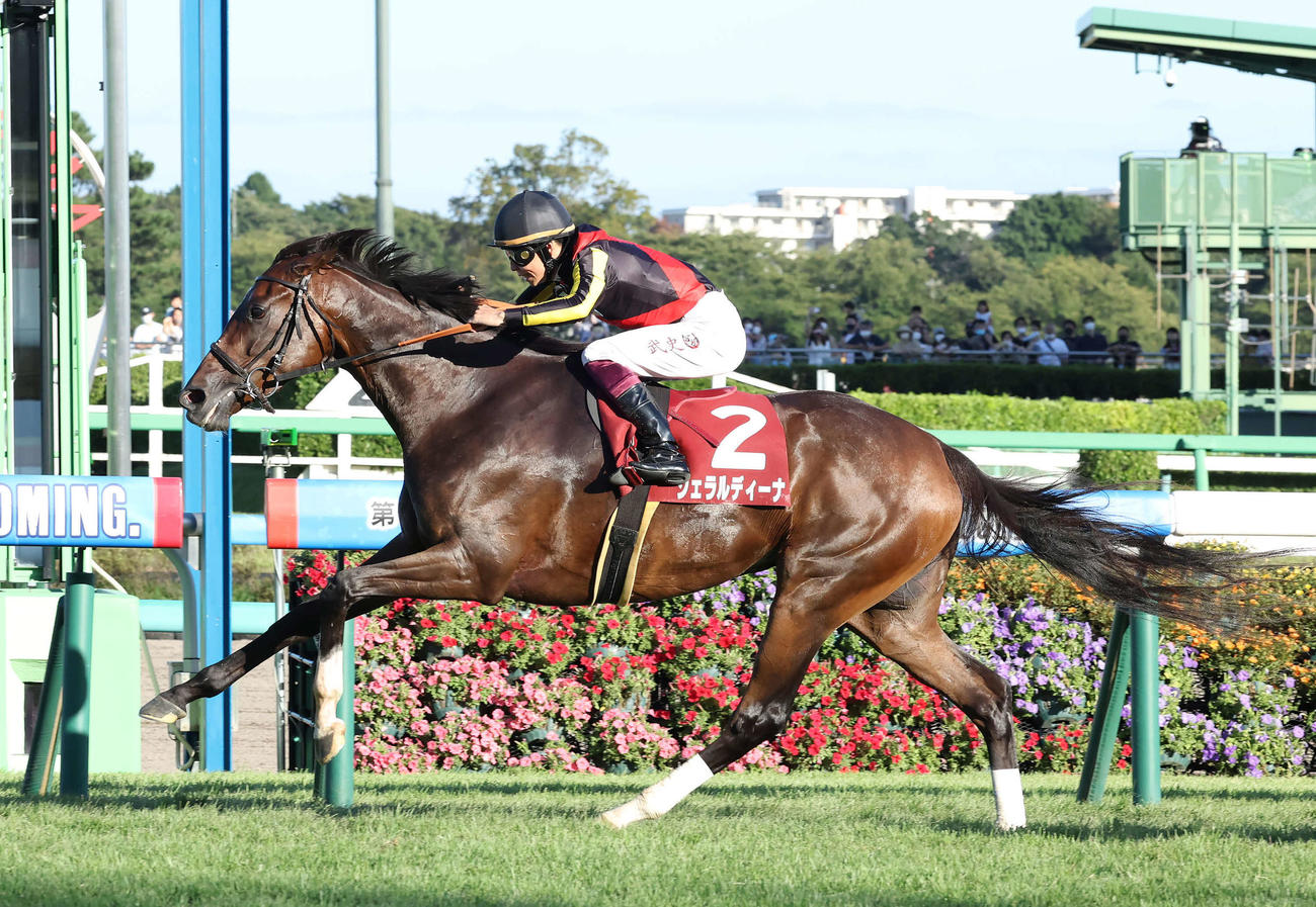 オールカマーを制したジェラルディーナ（2022年9月25日撮影）
