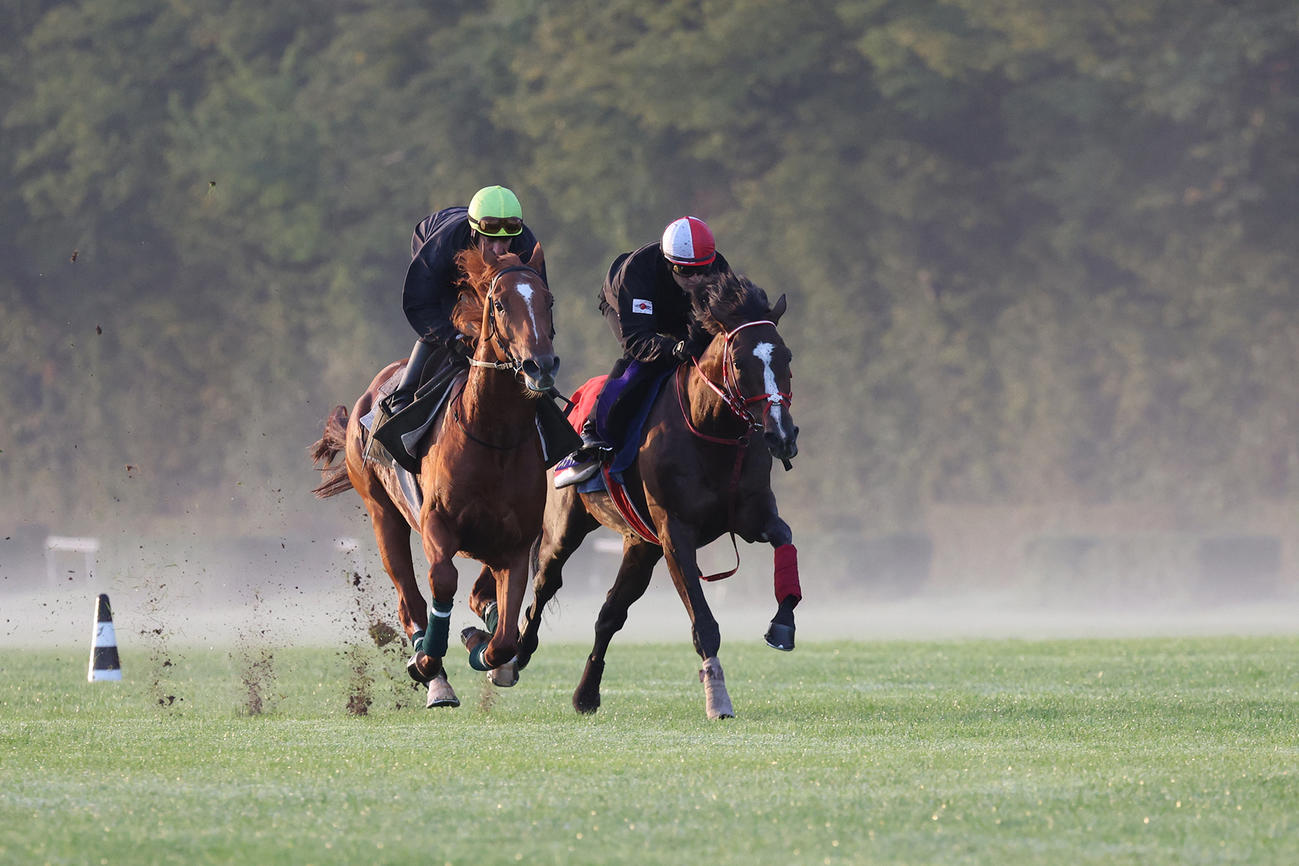 エーグル調教場の芝周回コースでルメール騎手を背に併せ馬を行ったステイフーリッシュ（右）（代表撮影）