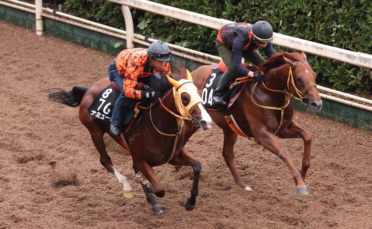 2頭併せで坂路をかけあがるナミュール（左）